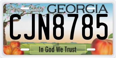 GA license plate CJN8785