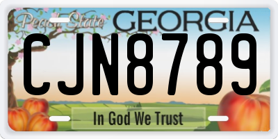 GA license plate CJN8789