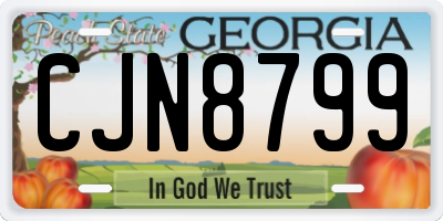 GA license plate CJN8799