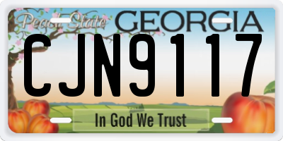 GA license plate CJN9117