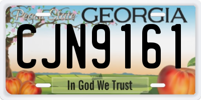 GA license plate CJN9161