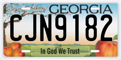 GA license plate CJN9182