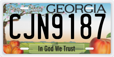GA license plate CJN9187