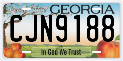 GA license plate CJN9188