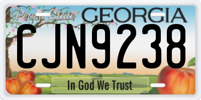 GA license plate CJN9238