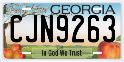 GA license plate CJN9263