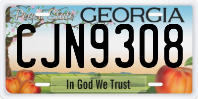 GA license plate CJN9308