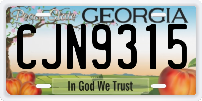 GA license plate CJN9315