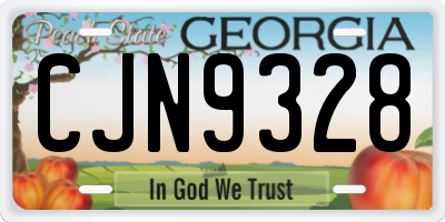 GA license plate CJN9328