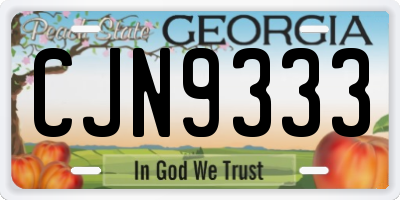 GA license plate CJN9333