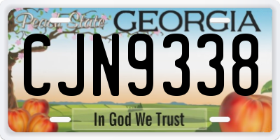 GA license plate CJN9338