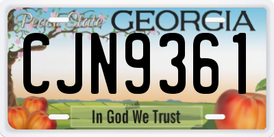 GA license plate CJN9361