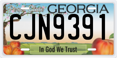 GA license plate CJN9391