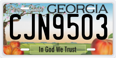 GA license plate CJN9503