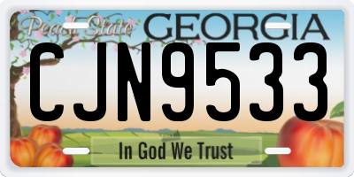 GA license plate CJN9533