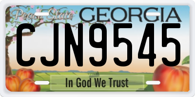 GA license plate CJN9545
