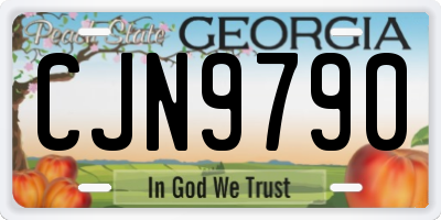 GA license plate CJN9790