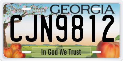 GA license plate CJN9812