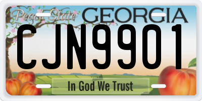GA license plate CJN9901