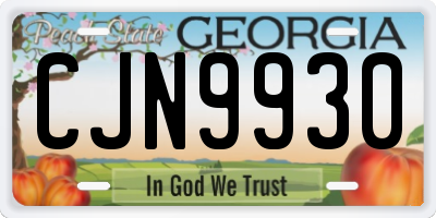 GA license plate CJN9930