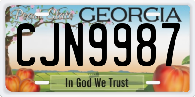 GA license plate CJN9987