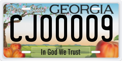 GA license plate CJO0009