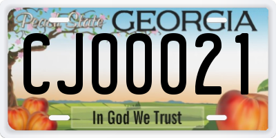 GA license plate CJO0021