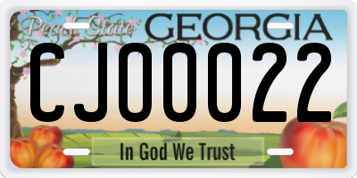 GA license plate CJO0022