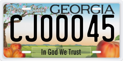 GA license plate CJO0045