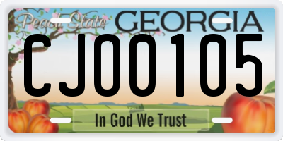 GA license plate CJO0105