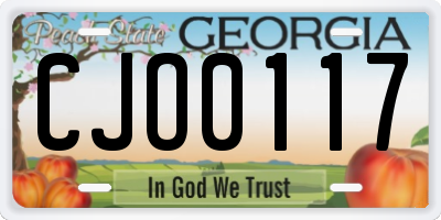 GA license plate CJO0117
