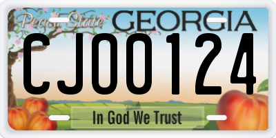 GA license plate CJO0124