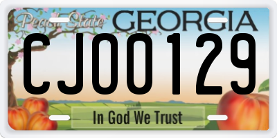 GA license plate CJO0129