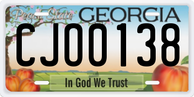 GA license plate CJO0138