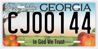GA license plate CJO0144