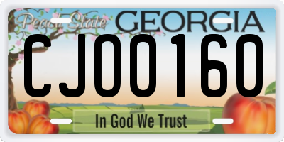 GA license plate CJO0160