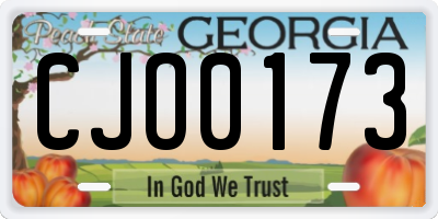 GA license plate CJO0173