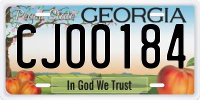 GA license plate CJO0184