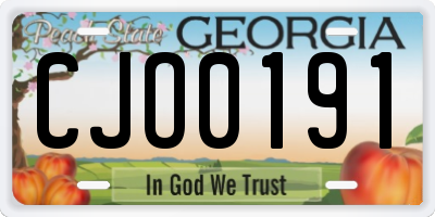 GA license plate CJO0191