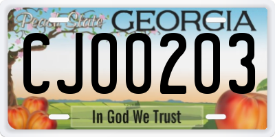 GA license plate CJO0203
