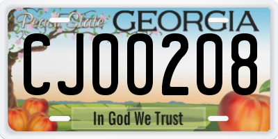 GA license plate CJO0208