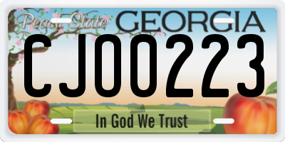 GA license plate CJO0223