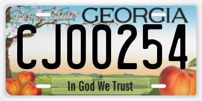 GA license plate CJO0254