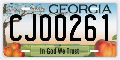 GA license plate CJO0261