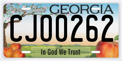 GA license plate CJO0262