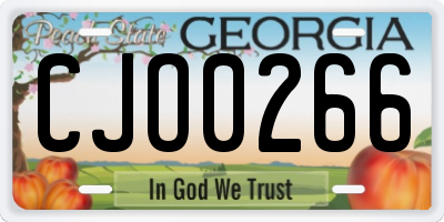 GA license plate CJO0266