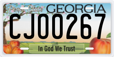 GA license plate CJO0267