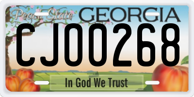 GA license plate CJO0268