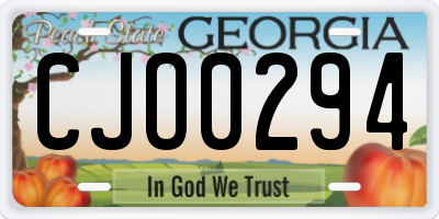 GA license plate CJO0294