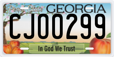 GA license plate CJO0299